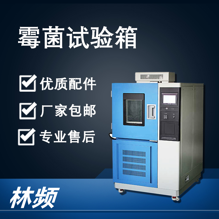 霉菌試驗箱的高效運行：揭秘背后的關鍵輔助設施